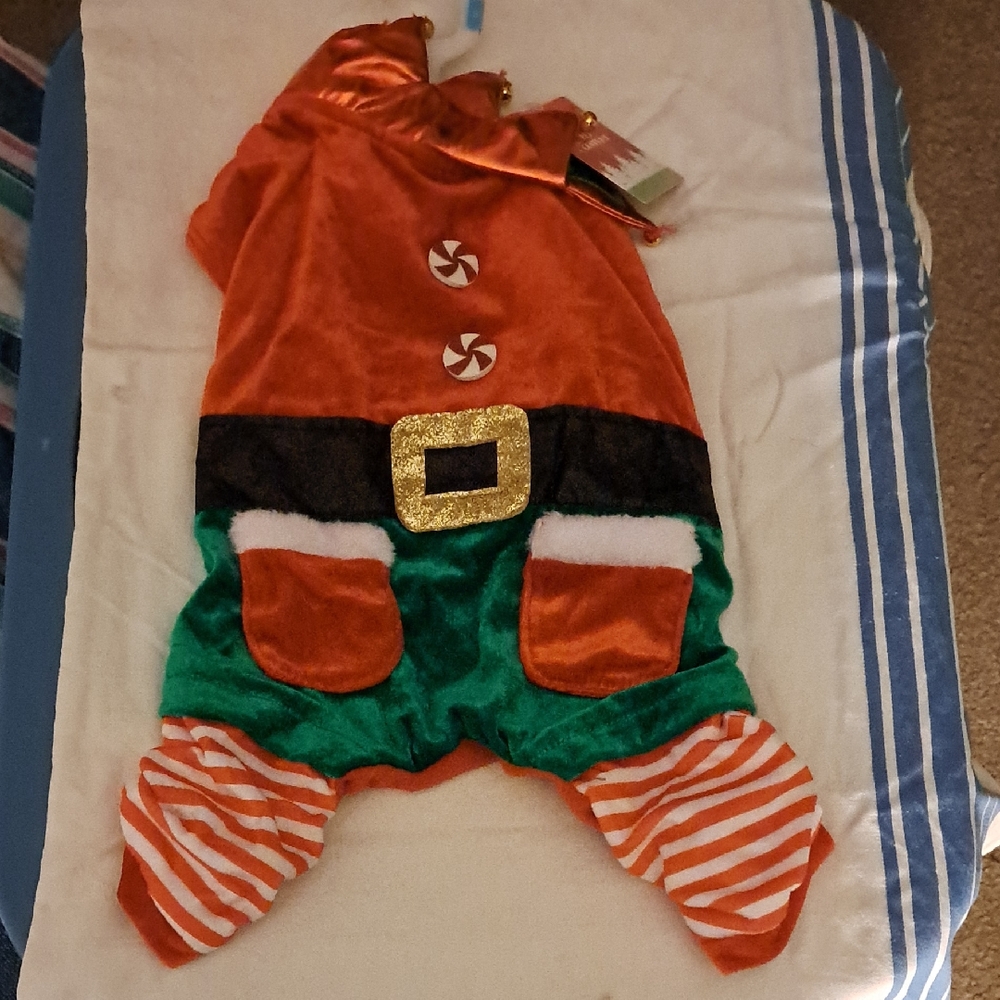 Festive Elf Costume for Kids